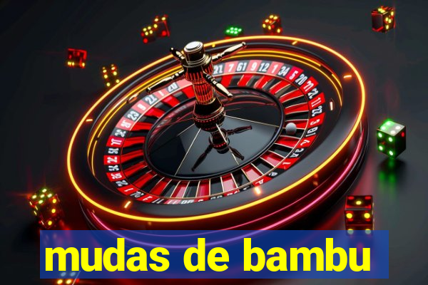 mudas de bambu